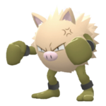 Imagen de Primeape variocolor en Pokémon Diamante Brillante y Pokémon Perla Reluciente