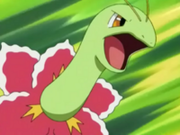 EP263 Casey Meganium.png