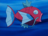 Magikarp
