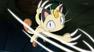 Meowth usando golpes furia.