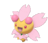 Imagen de Cherrim soleado variocolor en Pokémon Espada y Pokémon Escudo
