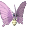 Venomoth