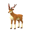 Sawsbuck primavera