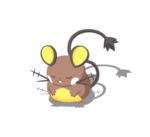 Frotacara variocolor