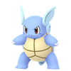 Wartortle
