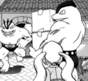 Machoke