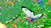 P07 Butterfree.png
