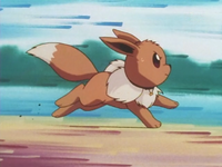 Eevee de Mikey usando derribo.