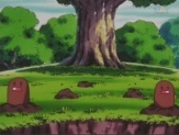 Diglett