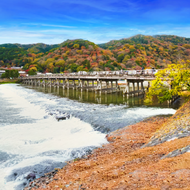 Fondo de Kyoto