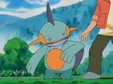 Marshtomp