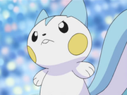 EP583 Pachirisu de Maya.png