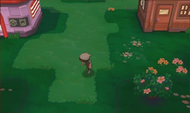 Tarde en Pokémon Rubí Omega y Pokémon Zafiro Alfa