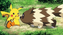 Imagen de Zigzagoon