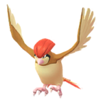 Pidgeotto
