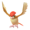 Pidgeotto GO.png