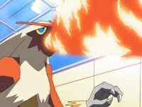 Blaziken de May/Blaziken de Aura usando giro de fuego/giro fuego.