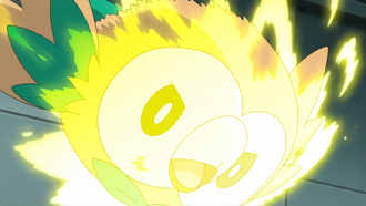Rowlet usando picotazo.
