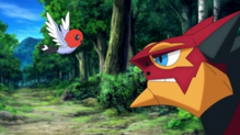 Imagen de Fletchling