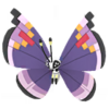 Vivillon oriental