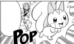 Pachirisu en MP12