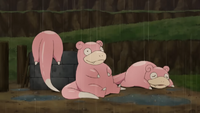 Un Slowpoke salvajes usando danza lluvia en TAJCC02.