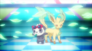 EP893 Leafeon y Pancham.png