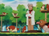 Pidgeotto