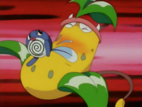 Poliwag usando doble bofetón.