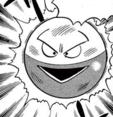 Electrode en PPM006