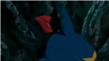Imagen de Sharpedo