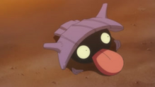Shellder