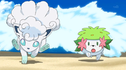 EP1052 Nivi y Shaymin.png