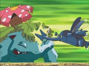 Heracross de Ash usando Ataque Furia.