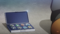Estuche de medallas de Sinnoh en Evoluciones Pokémon.