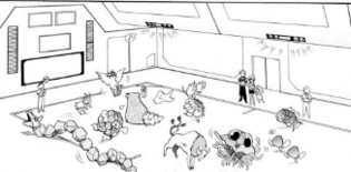 Imagen de varios Pokémon