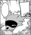 Zigzagoon en PV007