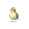 Imagen de Pidgey en Leyendas Pokémon: Z-A