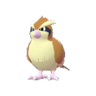 Pidgey