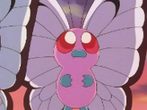 Butterfree
