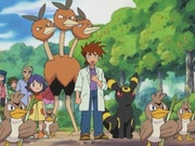 EH15 Gary, Dodrio, Umbreon y Crystal.jpg