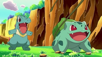 Bulbasaur usando látigo cepa.