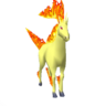 Rapidash