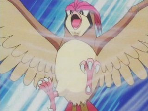 Pidgeotto usando tornado.