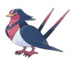 Swellow.png