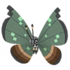 Vivillon jungla