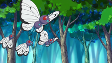 Butterfree