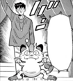 Meowth en PPM019