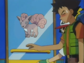 Cartel de Vulpix en la puerta del salón de Suzy.