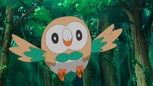 Rowlet